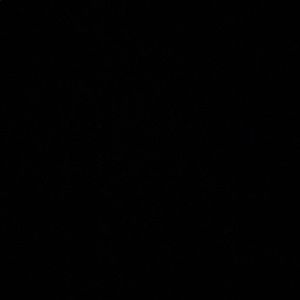 Meet your Posher, Moises